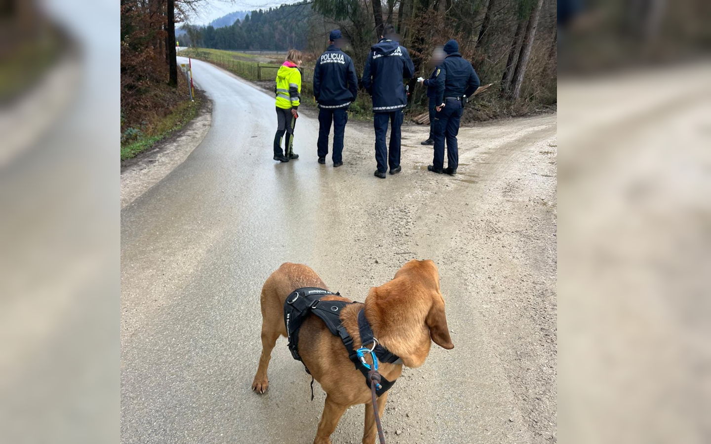 Jaka še vedno pogrešan, iščejo ga tudi policijski psi