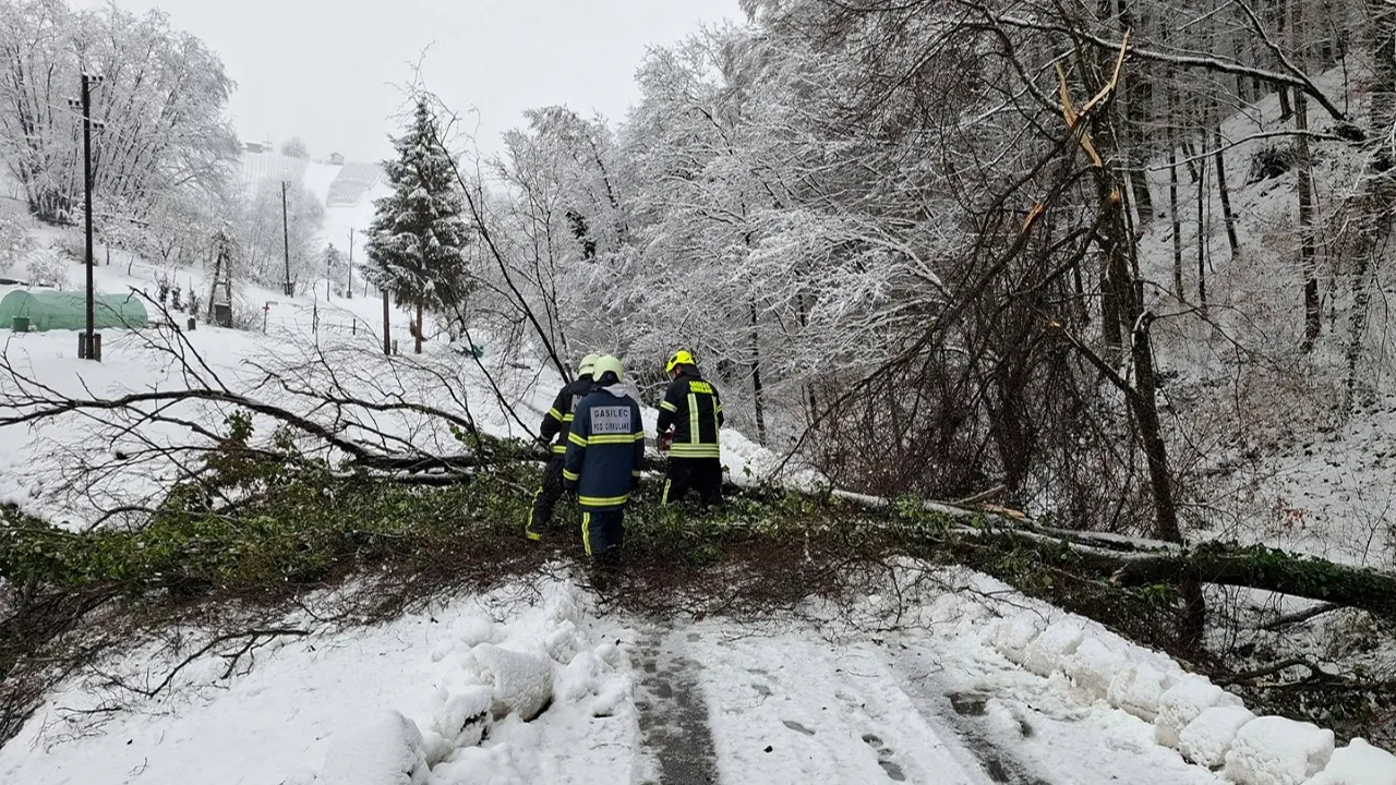 Haloški župani na sestanku z vodstvom Elektra Maribor o stanju omrežja
