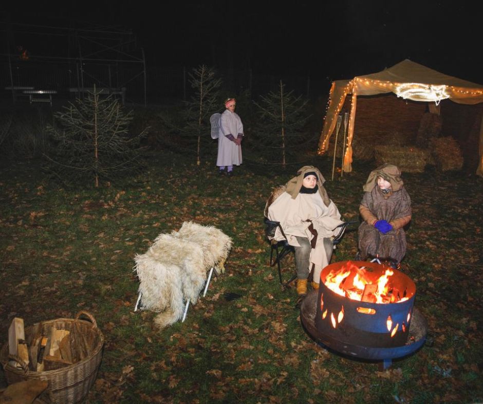 Ko se Pohorje prelevi v pravljico: Čarobni gozd vabi