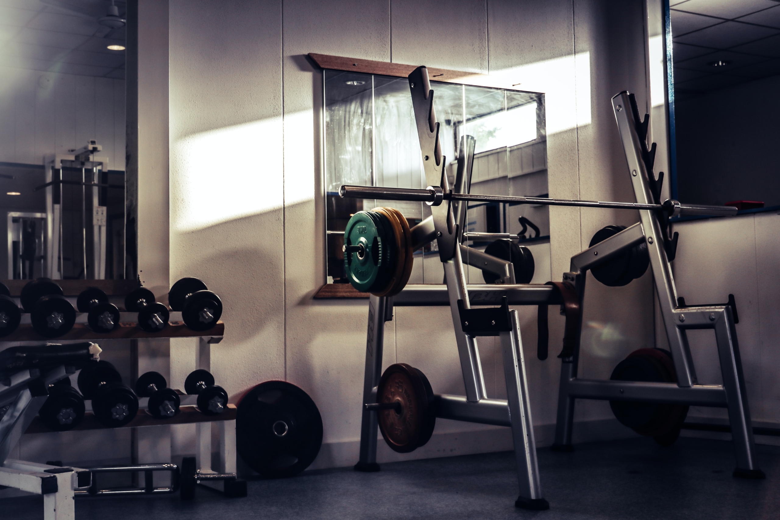 V prostorih vlade RS bo znova zaživel fitnes