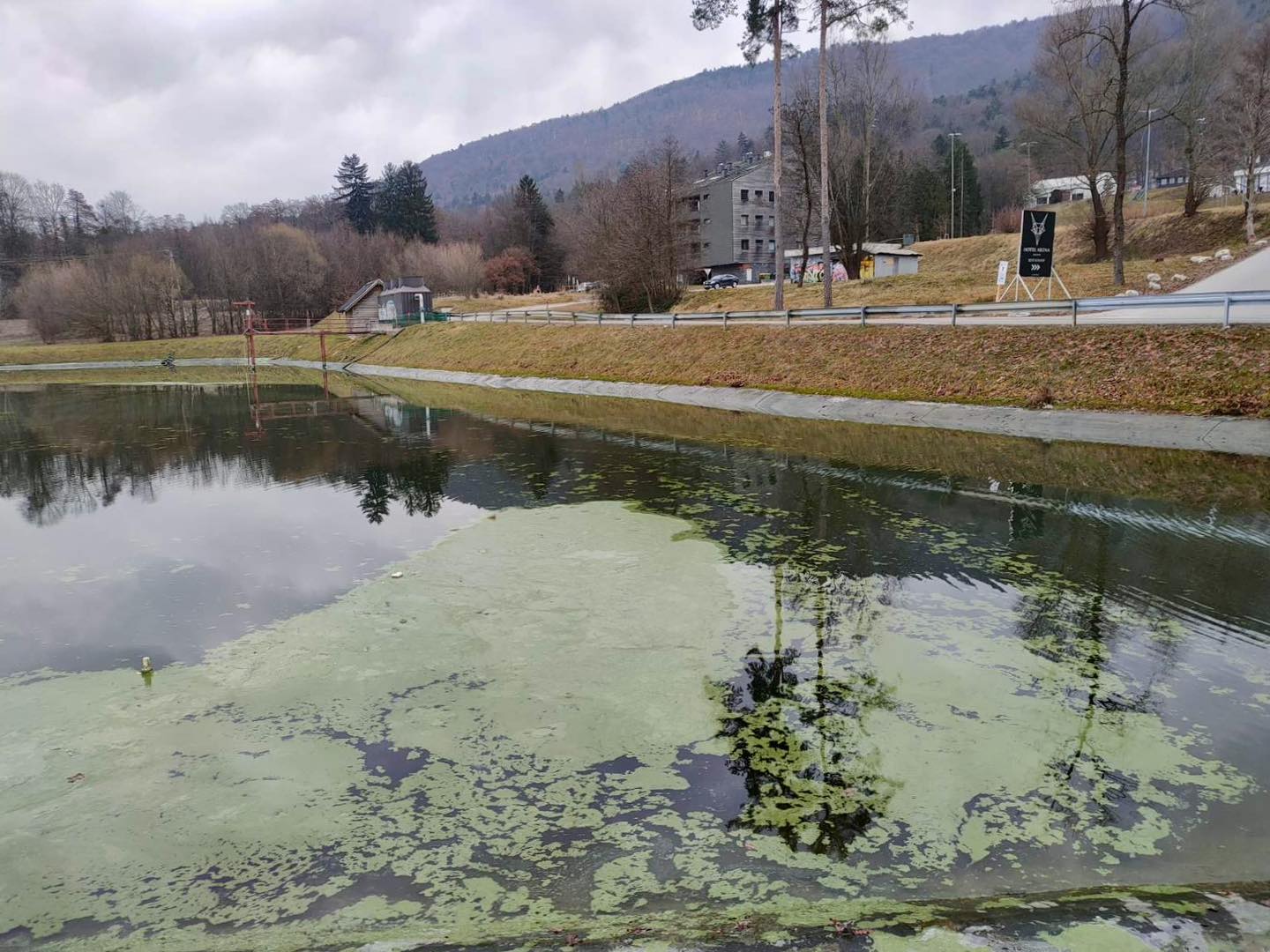 Cianobakterije v akumulacijskem jezeru pod Pohorjem: Kdo je kriv za onesnaženje?