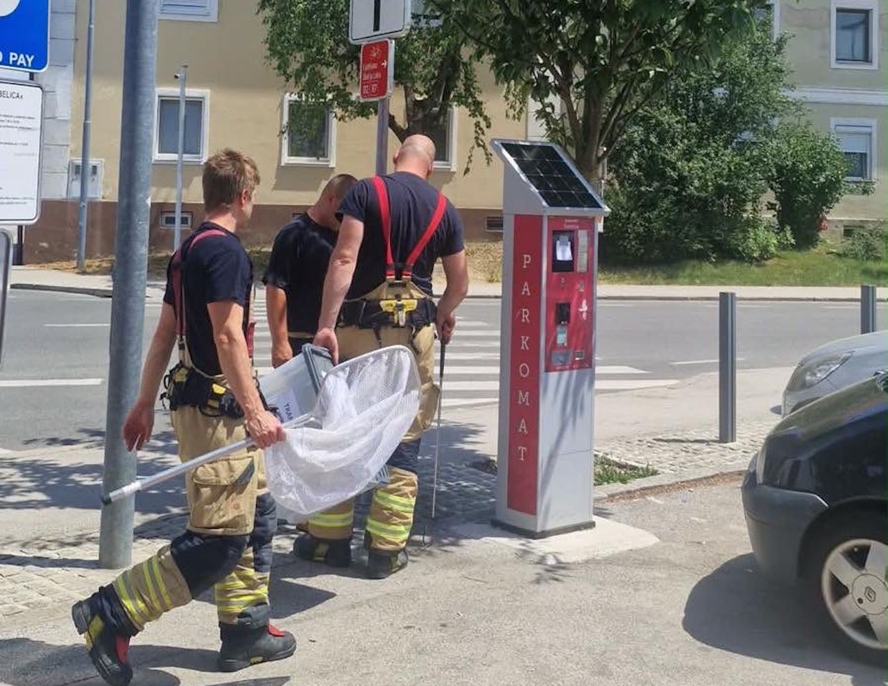 Preplah na parkirišču: V parkomatu občanko presenetila kača kobranka