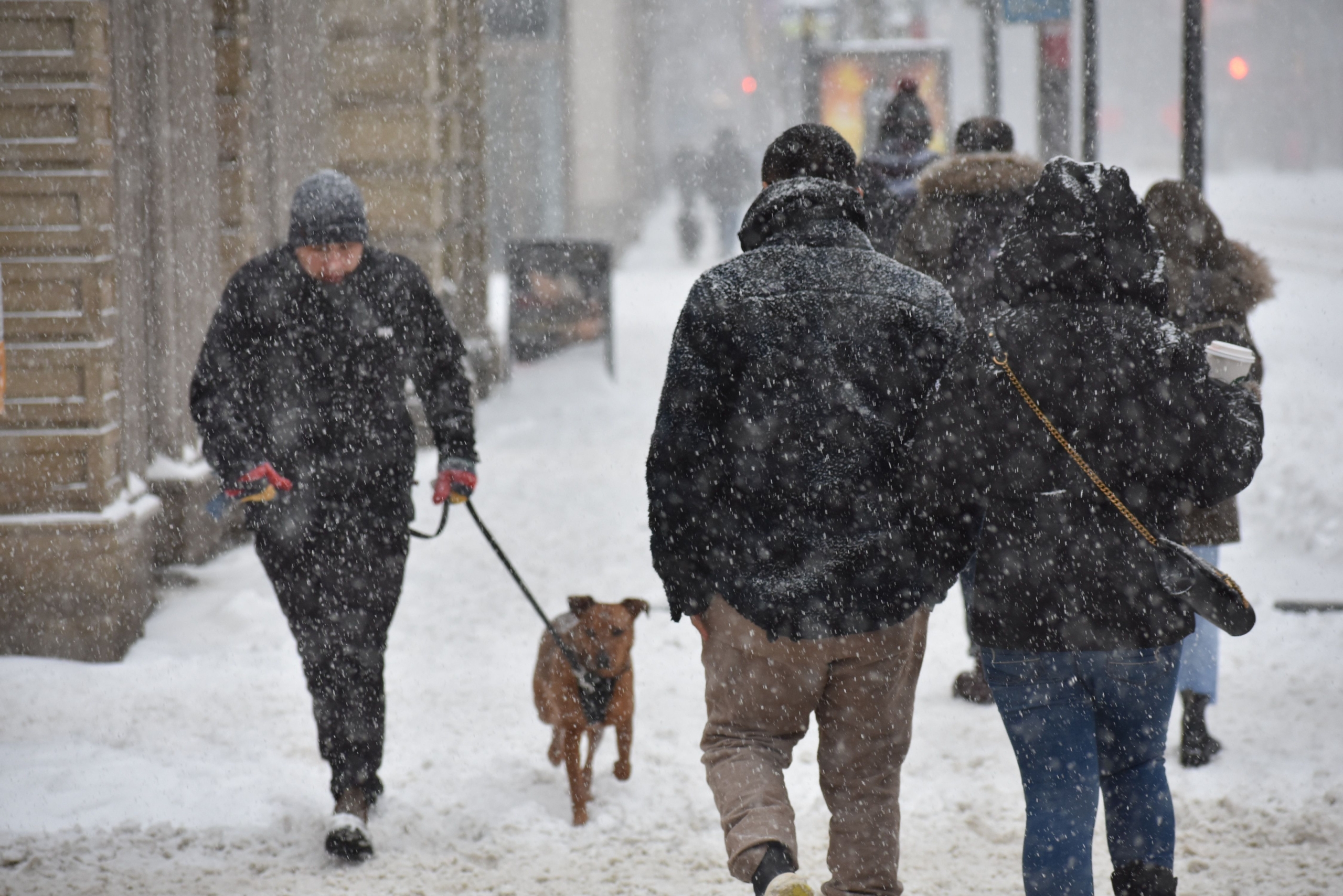 Meteorologi napovedali težko pričakovan sneg: Kdaj in kje ga bo zapadlo največ?