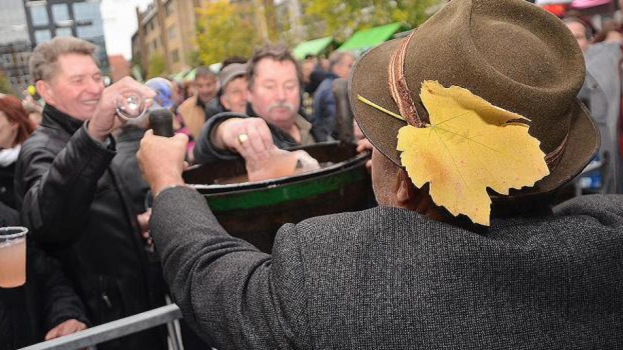 Ob martinovem se vsak mošt še ne spremeni v mlado vino