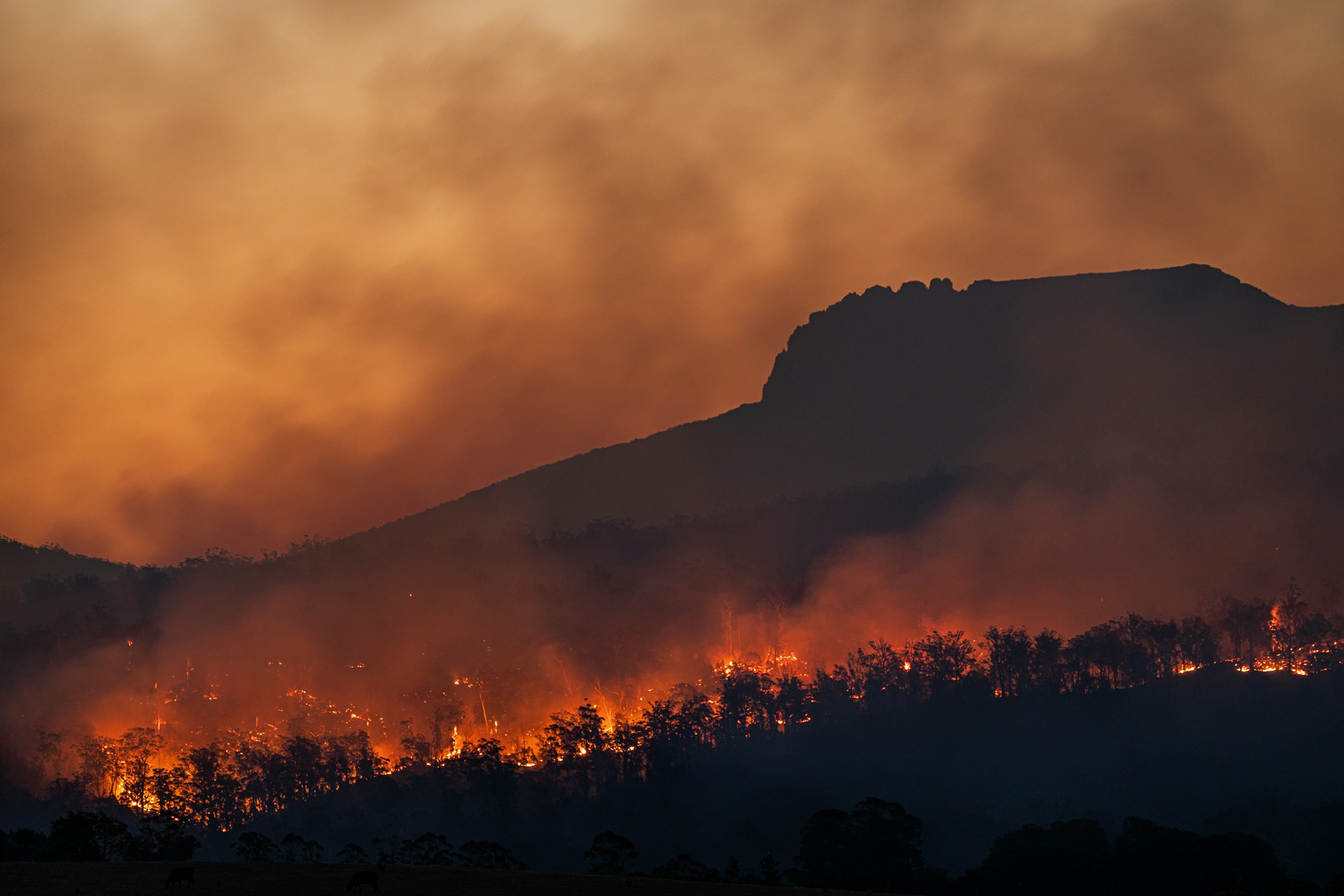 Evropa se segreva najhitreje na svetu, naša mesta pa na ta črni scenarij sploh niso pripravljena