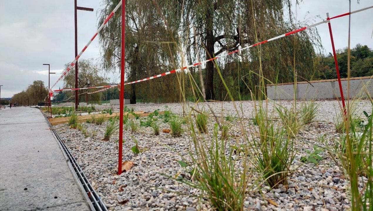 FOTO: Lent počasi dobiva svojo zeleno podobo