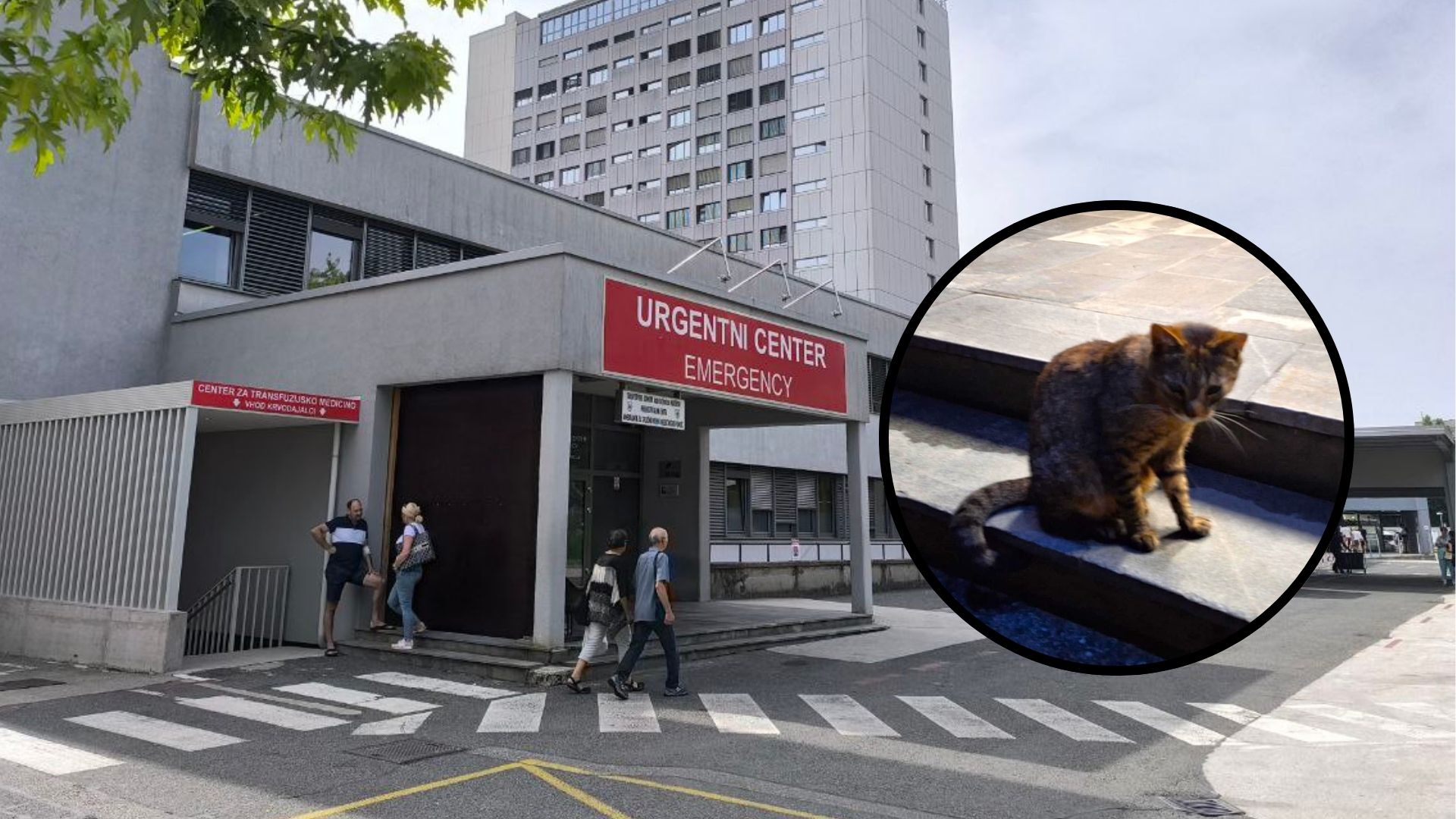 Muc Miško ostal pred vrati urgence: V UKC Maribor pojasnili, zakaj ima prepovedan vstop