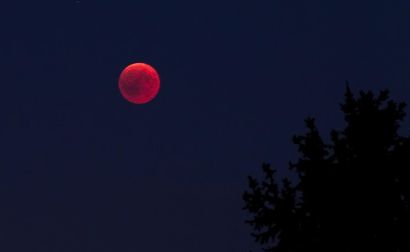 Petkova polna luna in lunin mrk: Vpliv na zdravje, psiho, odnose in kariero