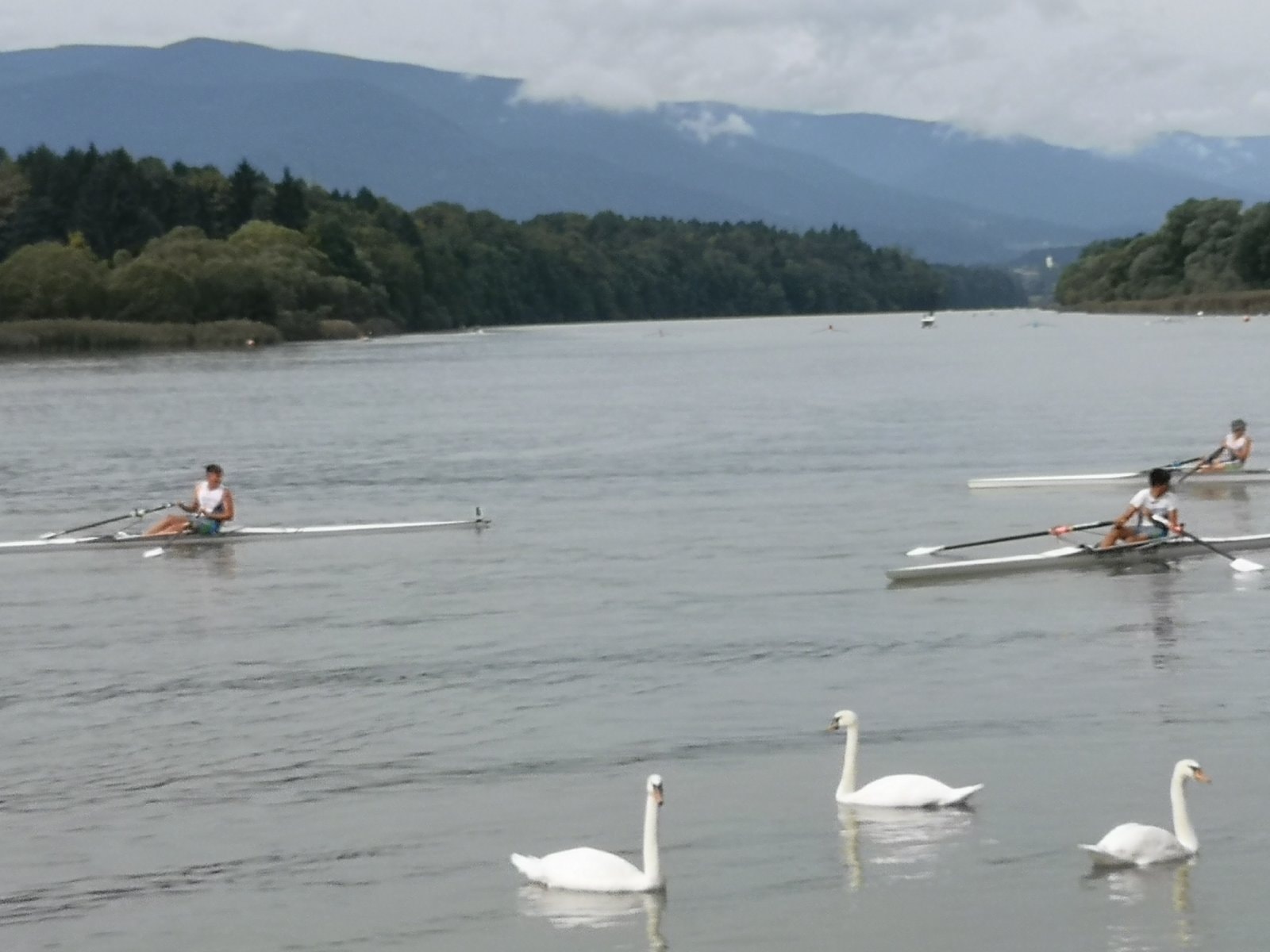 FOTO: Na mednarodni regati največ zlata za domačine