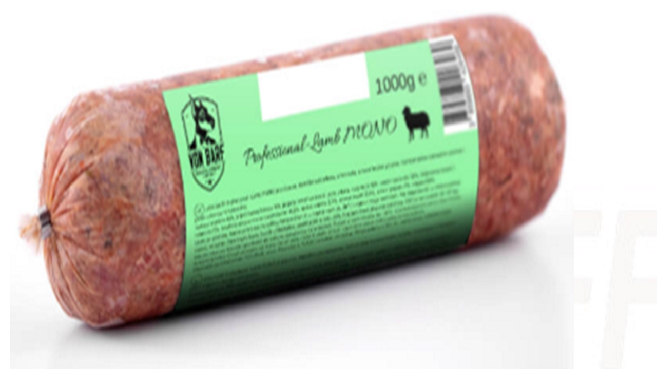 Nevarnost za vašega hišnega ljubljenčka, v tej hrani za pse so našli salmonelo