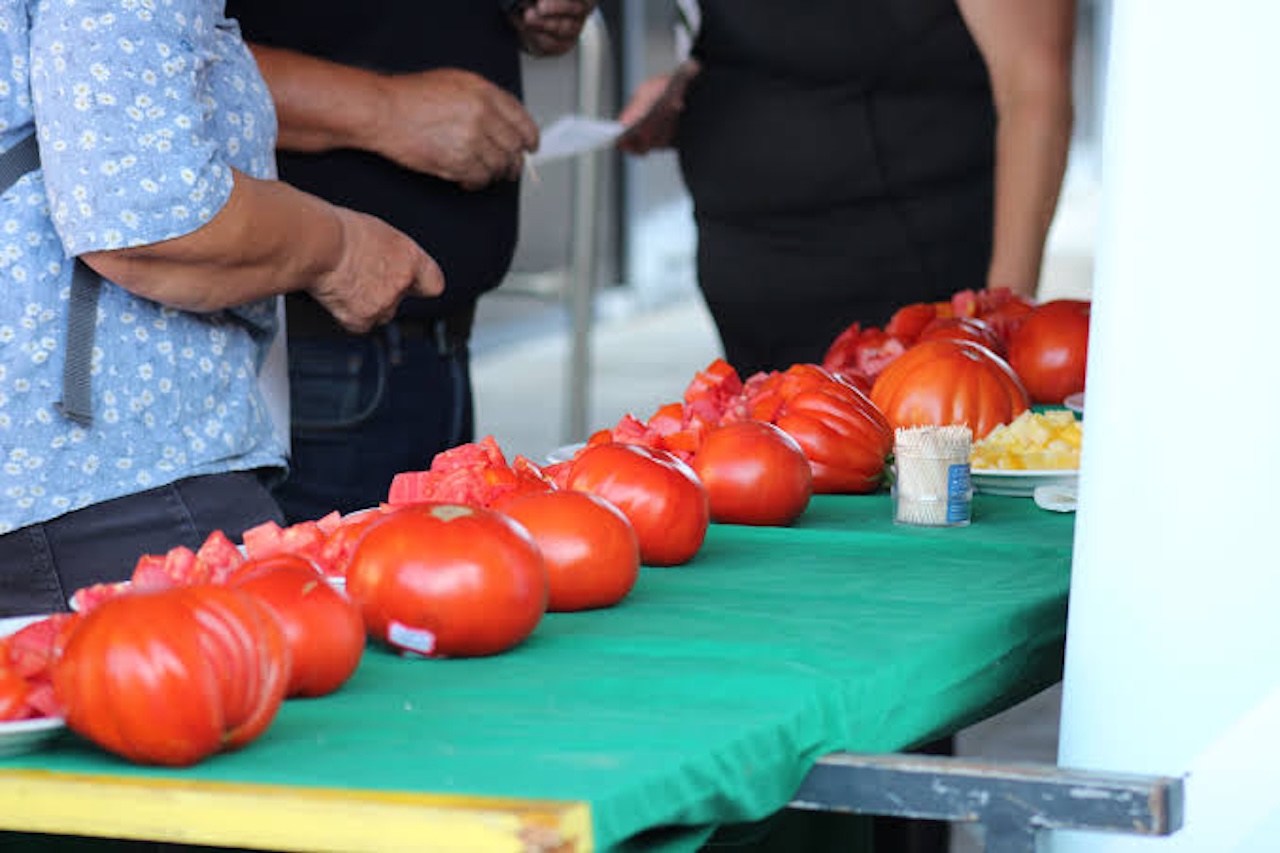 Festival paradižnika ostaja, ItaliAMO fest prestavljen na september