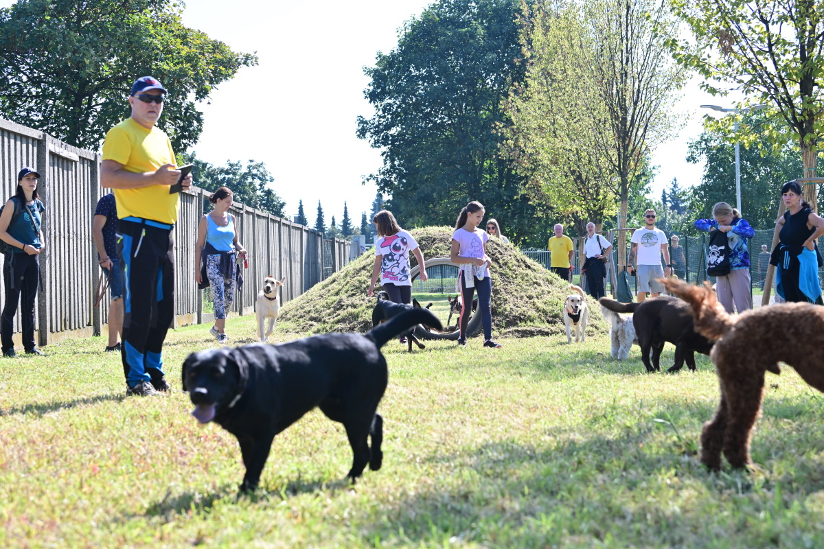 FOTO: Mariborski pasji park je odprt
