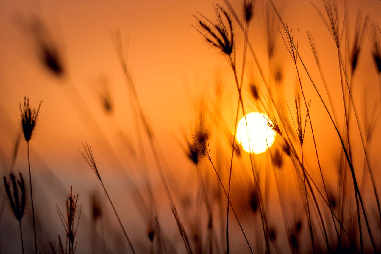 Oranžni alarm za jutri: Visoke temperature bodo vplivale na zdravstveno stanje