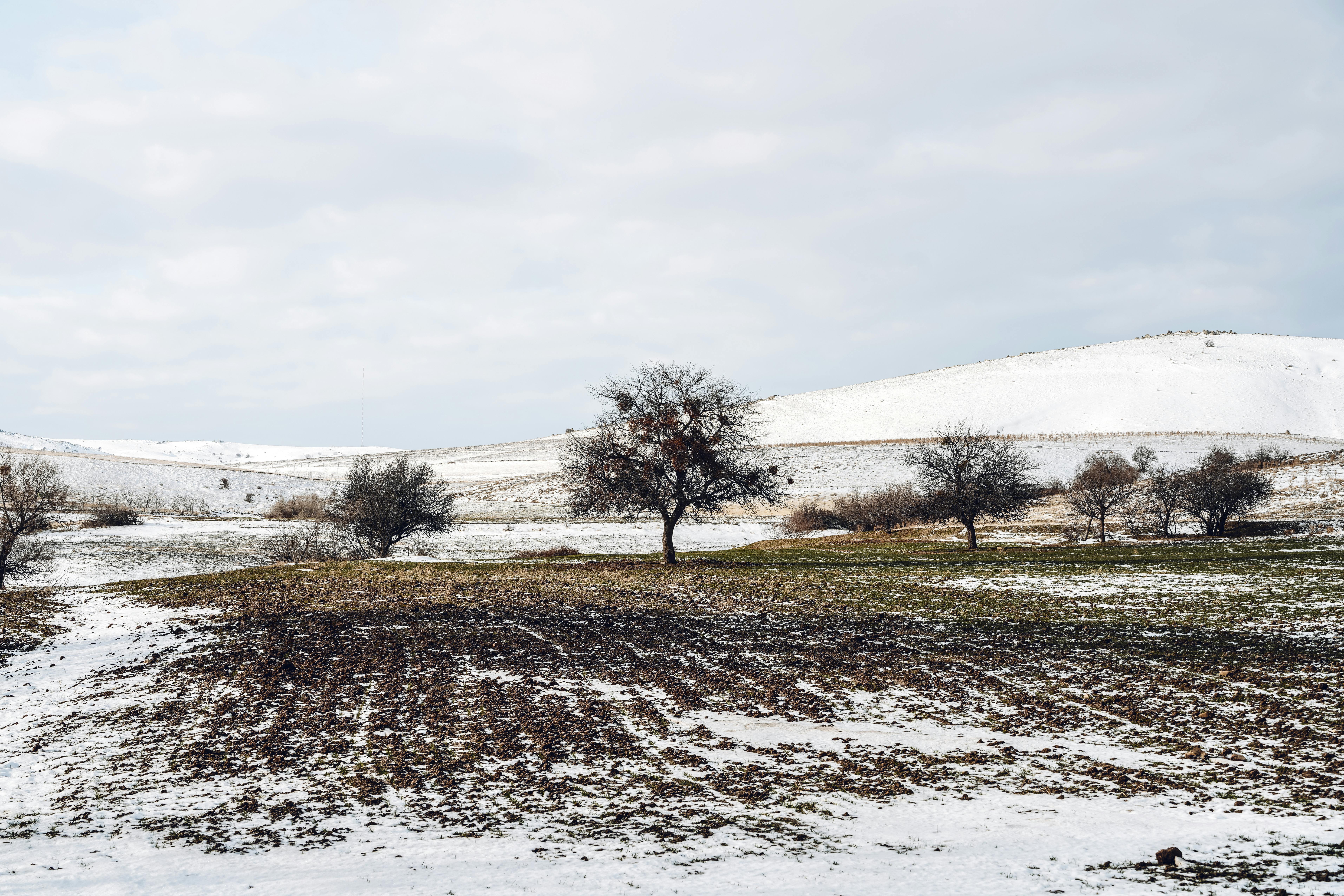 Kdo je naslednji? Na Trumpovem radarju se je po padcu Madura znašlo še teh pet držav