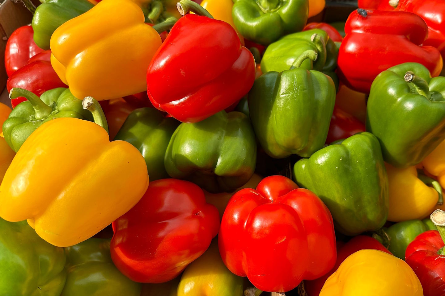 Katera paprika je najbolj zdrava? Barva razkriva več, kot si mislite