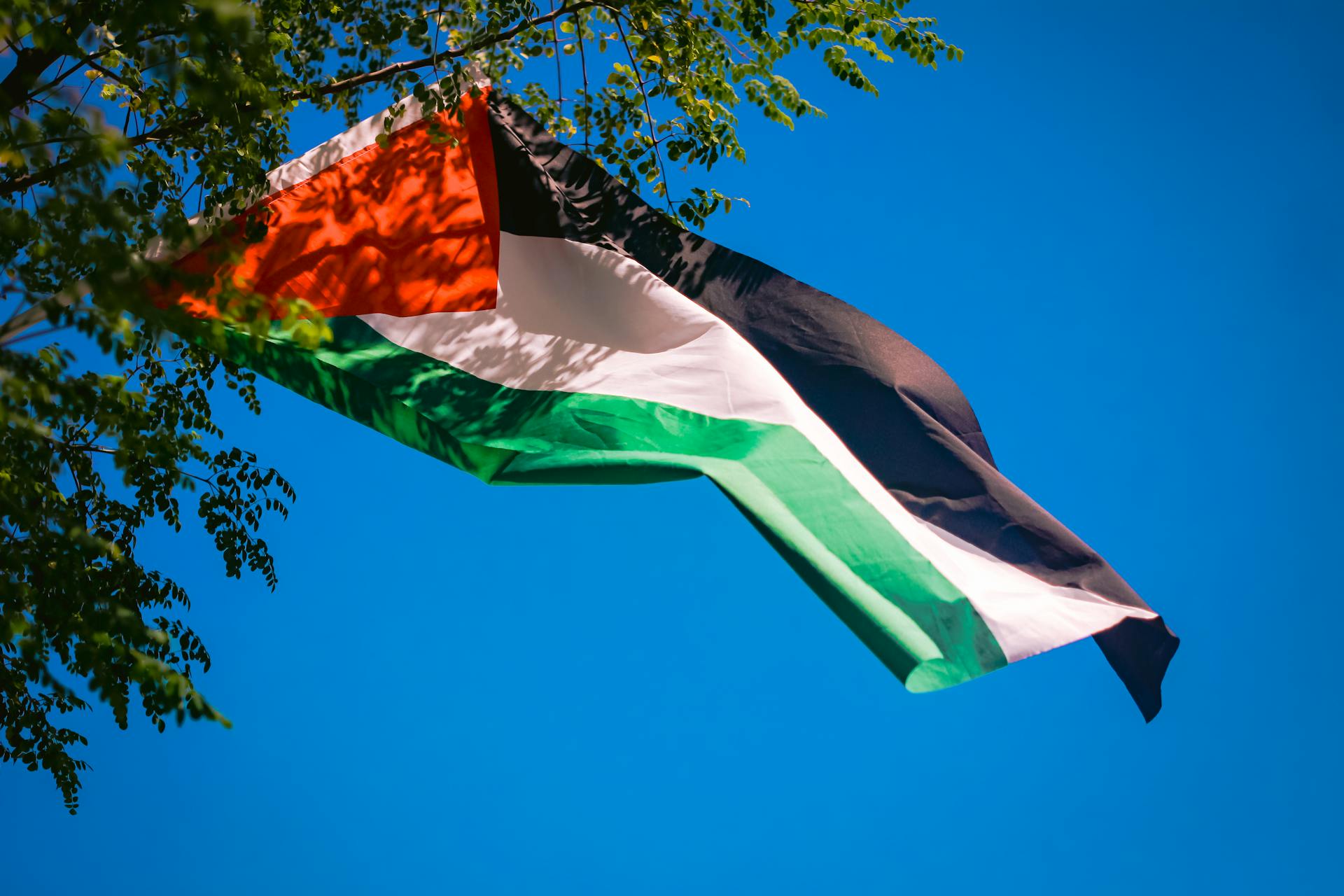 Bomo tudi za priznanje Palestine morali na referendum?