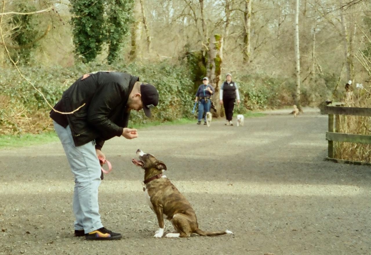 Osumljenec med aretacijo ugriznil psa, policisti so mu morali odpreti čeljust