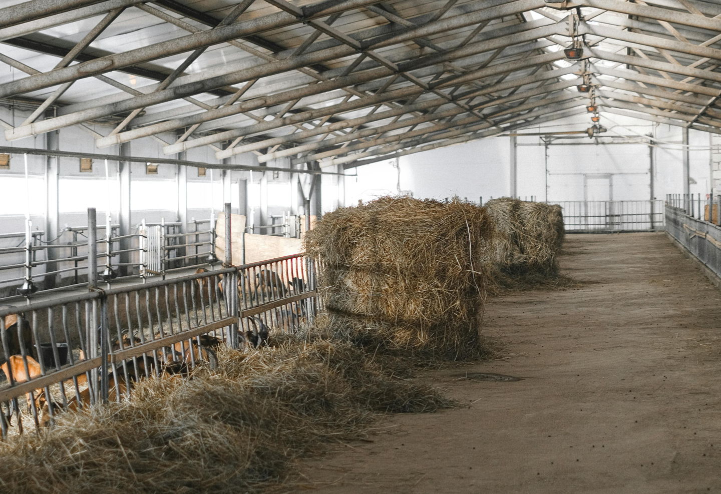 EU v Sloveniji vložila novo obtožnico zaradi ponarejenih dokumentov