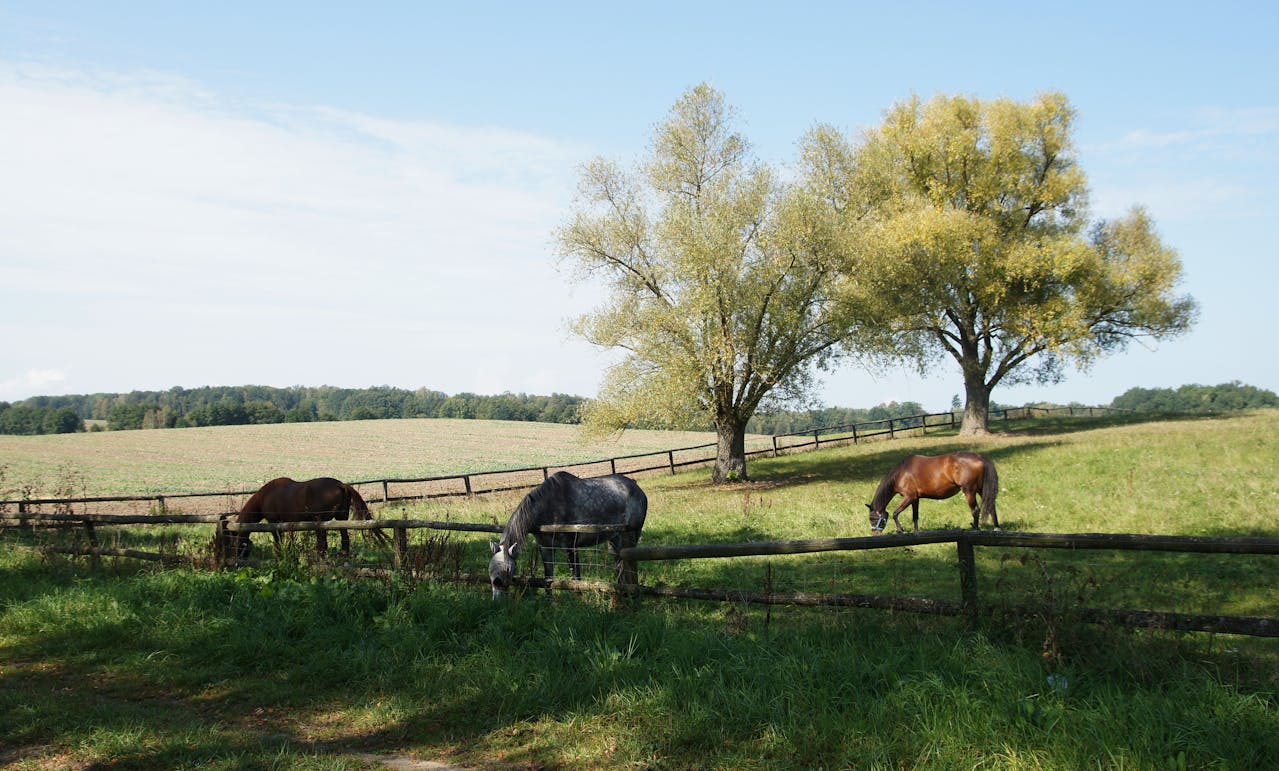 Po Sloveniji se širi izredno nalezljiv virus: Prenaša se lahko celo prek opreme in oblačil