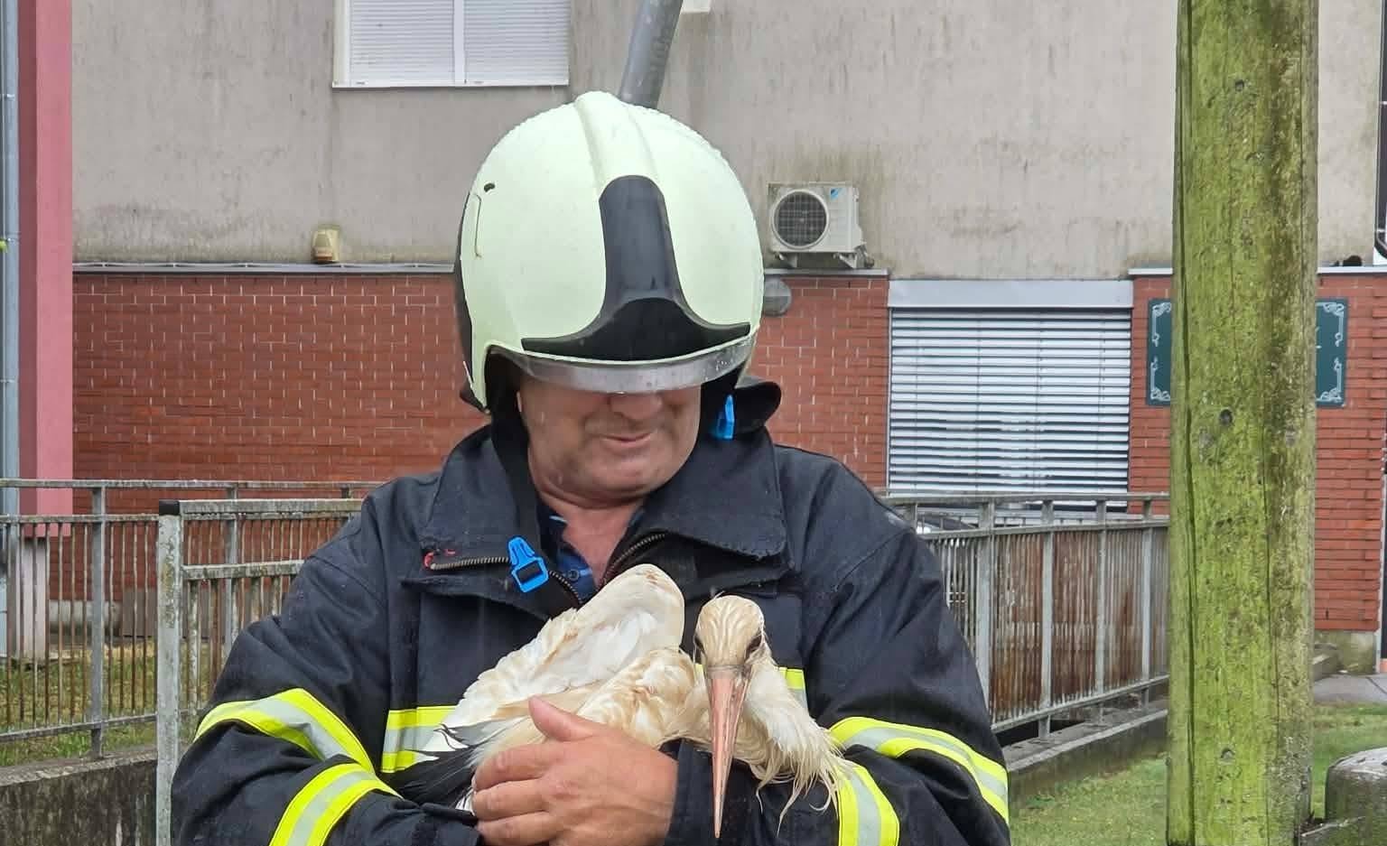 FOTO: Gasilci prejeli nepričakovan klic na pomoč, kdo se je znašel v stiski?
