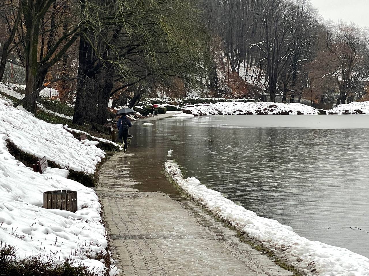 FOTO: V Mariboru poplave in snegolomi, tako izgledajo Trije ribniki