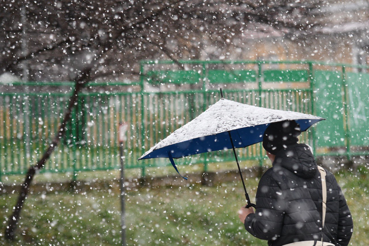 Meteorologi potrdili: V Mariboru končno sneg do nižin