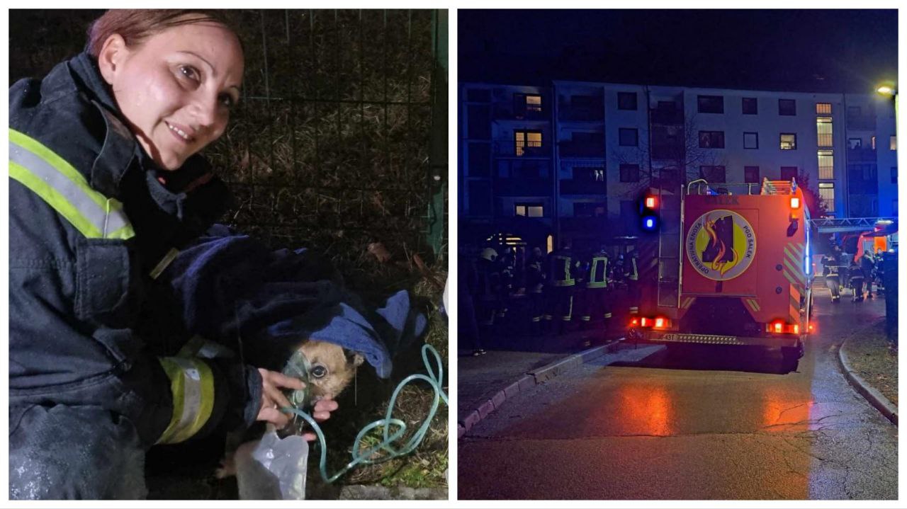 FOTO: Zagorelo v bloku, hrabri gasilci rešili stanovalce in hišne ljubljenčke