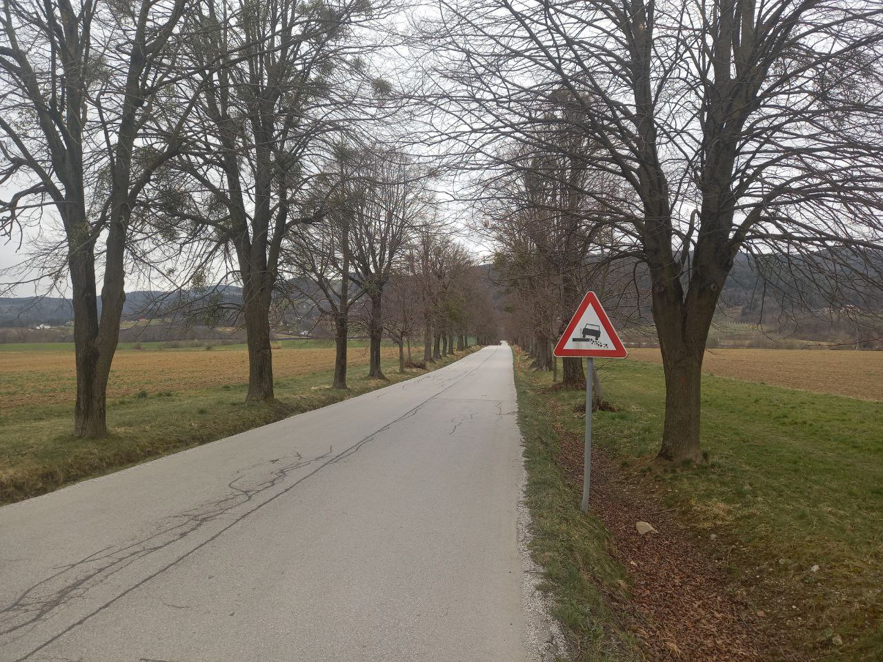 FOTO: V Pivoli naj bi odstranili večino dreves