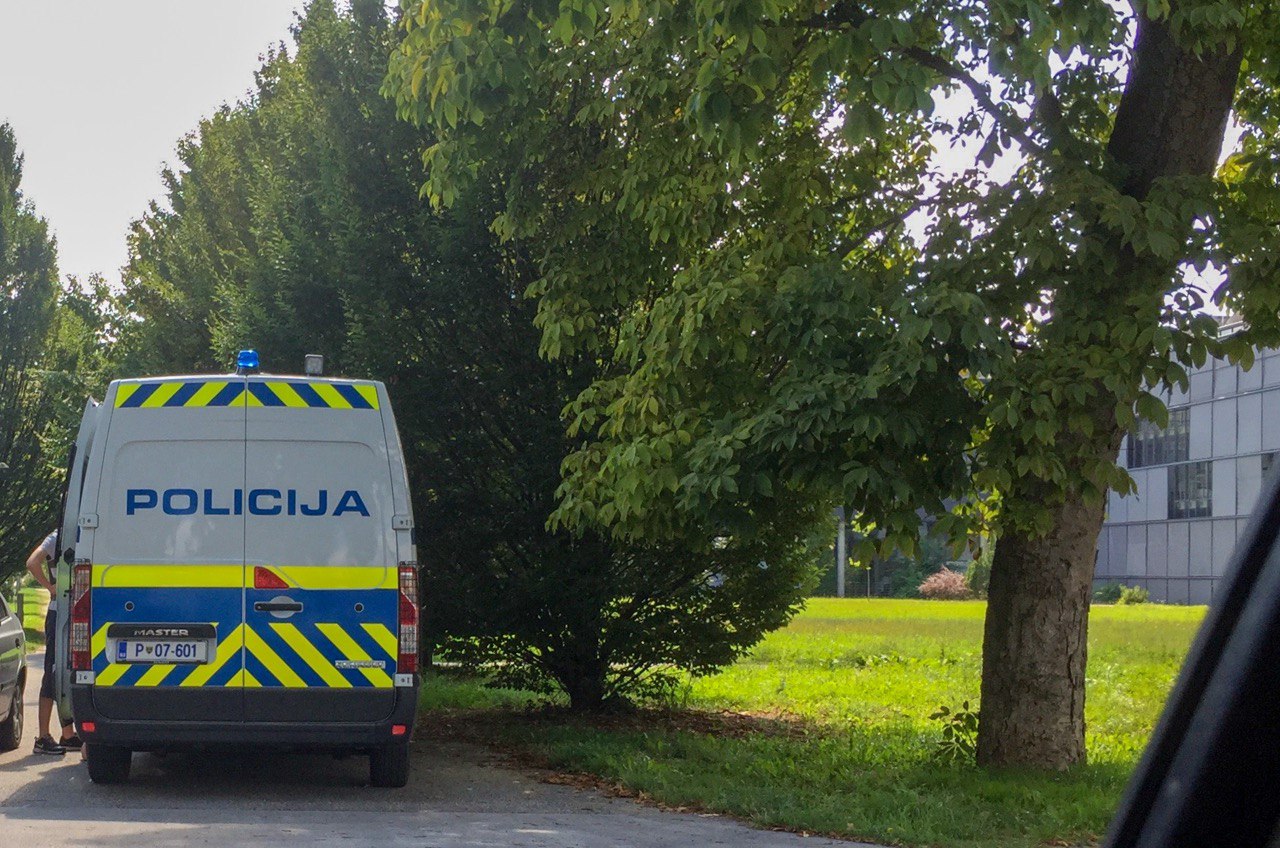 37-letnica v Mariboru razgrajala na pikniku, policisti so morali uporabiti telesno silo