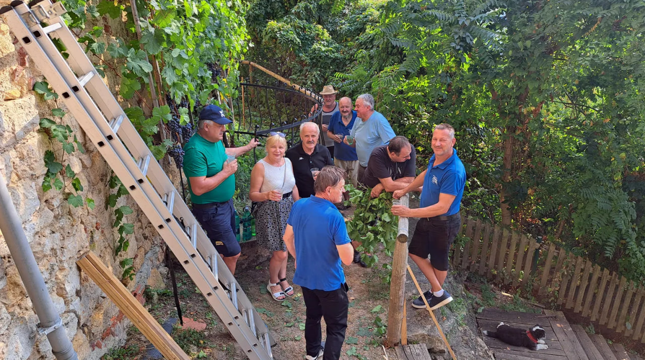 Pester konec tedna na Vurberku: Branje v gozdu, razstava in trgatev