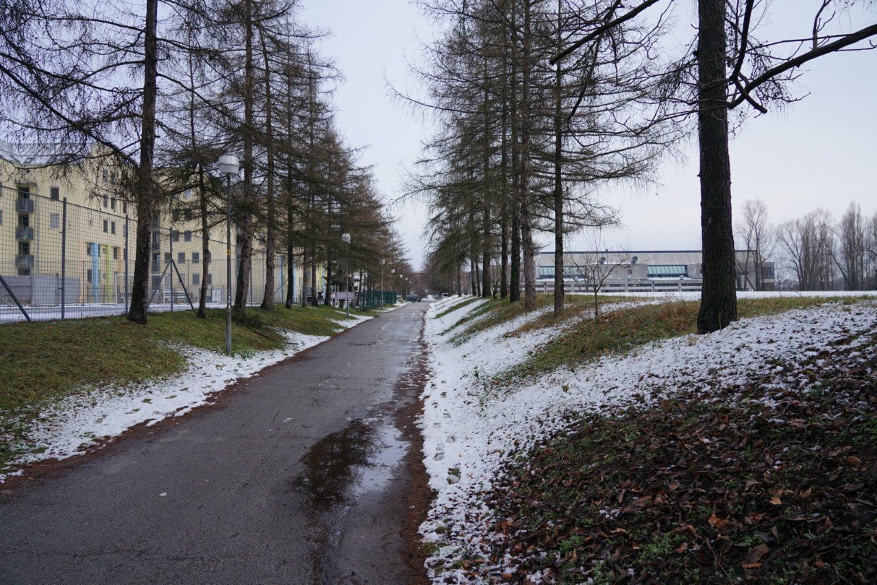 Pripravite se, meteorologi opozarjajo na ledene dneve