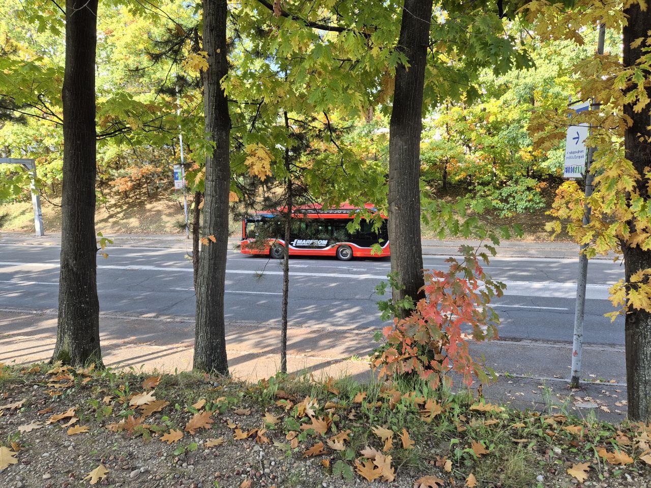 Pozor, v Mariboru spet spremembe na avtobusnih linijah