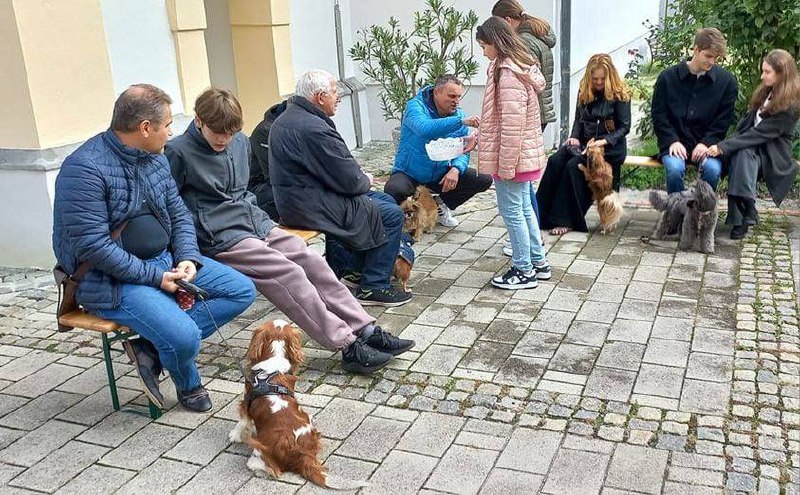 V Mariboru že desetič blagoslovili kužke in pse