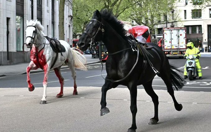 VIDEO: Pobesneli konji brez nadzora tekali po Londonu
