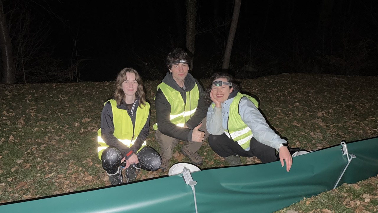 Ste opazili študente z naglavnimi lučkami in vedri? Preverili smo, kaj se ponoči dogaja pri Treh ribnikih