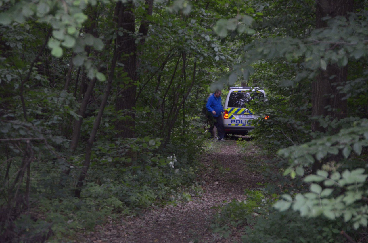 Tragedija v gozdu: Moški s štirikolesnikom pomotoma povozil ženo in jo ubil