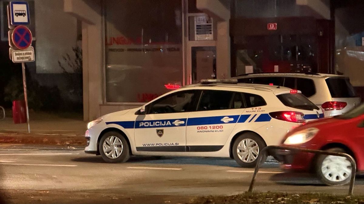 Drzna tatvina na Pobrežju: Preplezal ograjo in odnesel plen v vrednosti 1.500 evrov