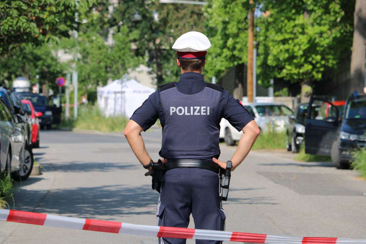 Avstrija bo zvišala starostno mejo za posedovanje orožja in okrepila varnost v šolah