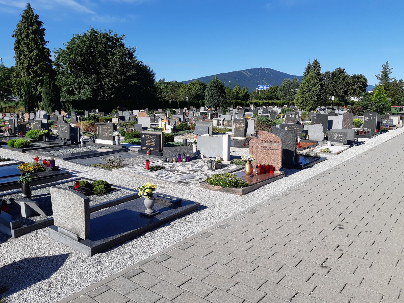 Generacije v dialogu o smrti: Okrogla miza o trajnostnem pokopu in spoštovanju do okolja