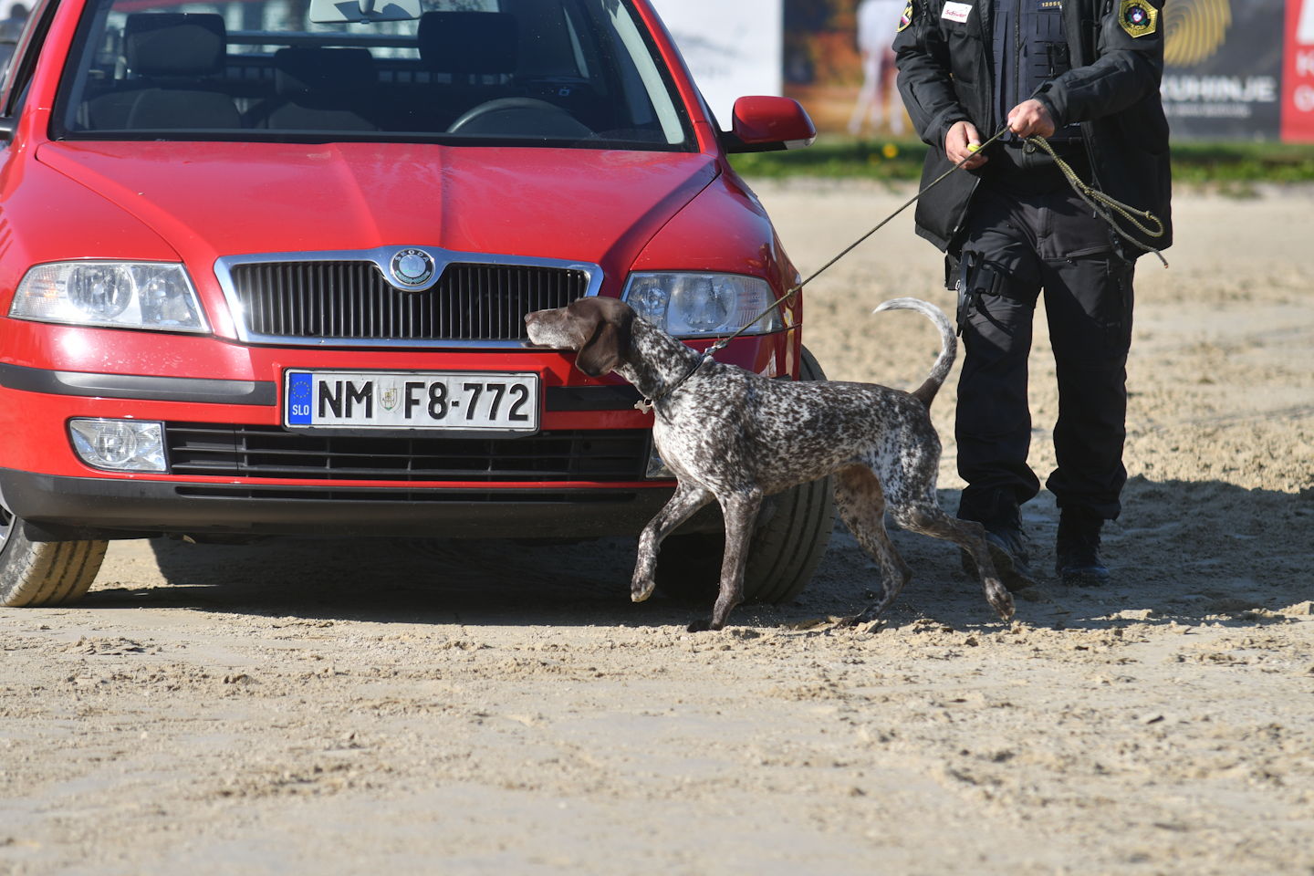 Ministrstvo za notranje zadeve prodaja službene pse