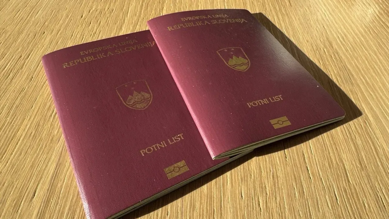 Ali bi morali naturaliziranim državljanom ob kršitvah zakona odvzeti državljanstvo?