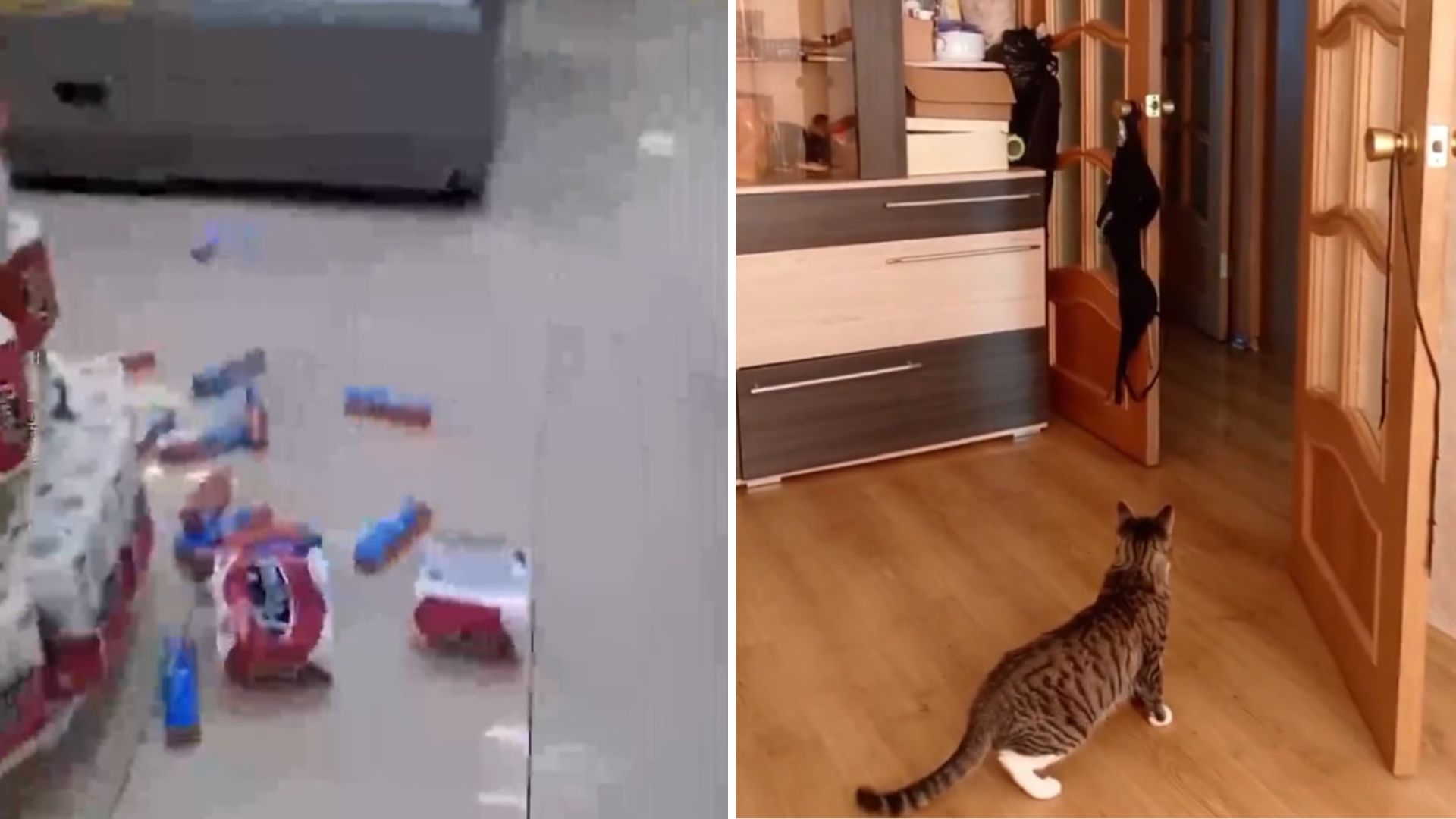 V nekaj urah kar tri močni potresi, tla se še vedno tresejo: Izdali opozorilo pred cunamijem (VIDEO)