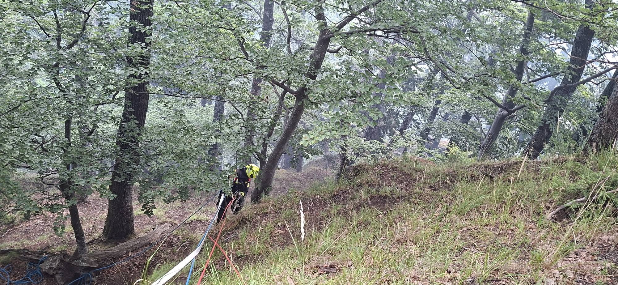 FOTO: V okolici Slovenske Bistrice izbruhnil obsežen gozdni požar, aktiviran tudi helikopter