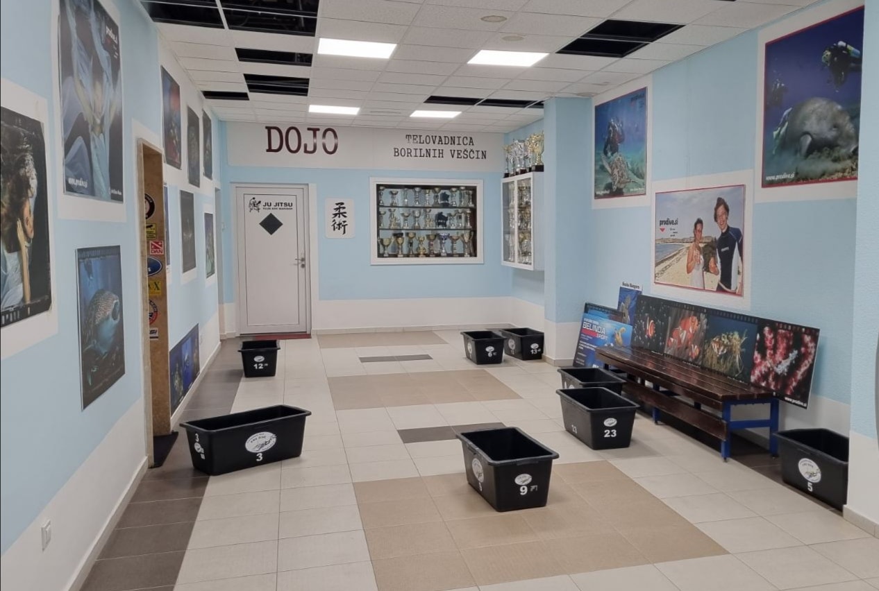 FOTO: Novo odprt bazen v Pristanu zamaka, pod njim nastavljenih več veder