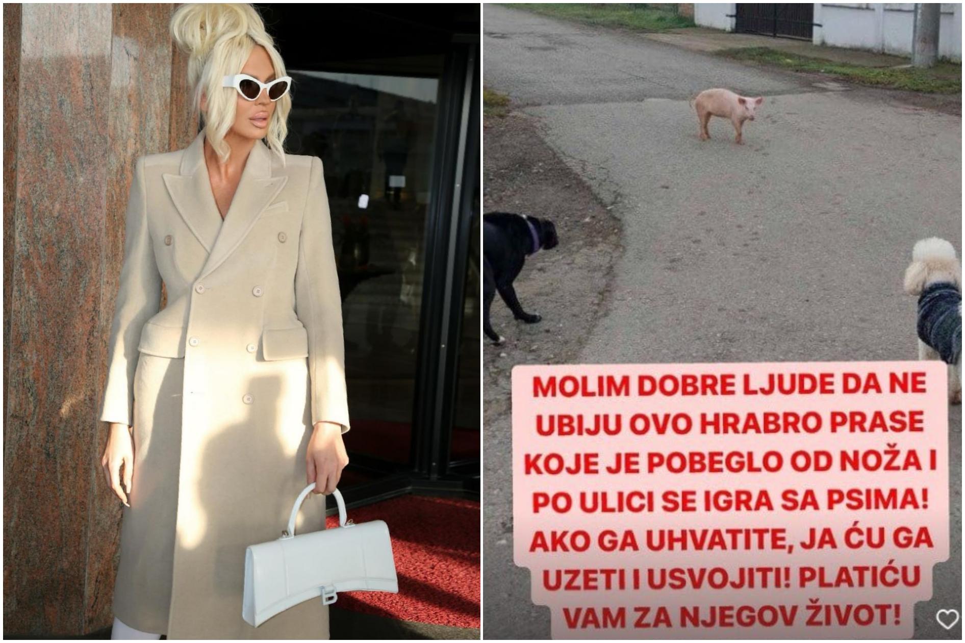 FOTO: Srbska diva rešila prašička, zanj je pripravljena tudi plačati