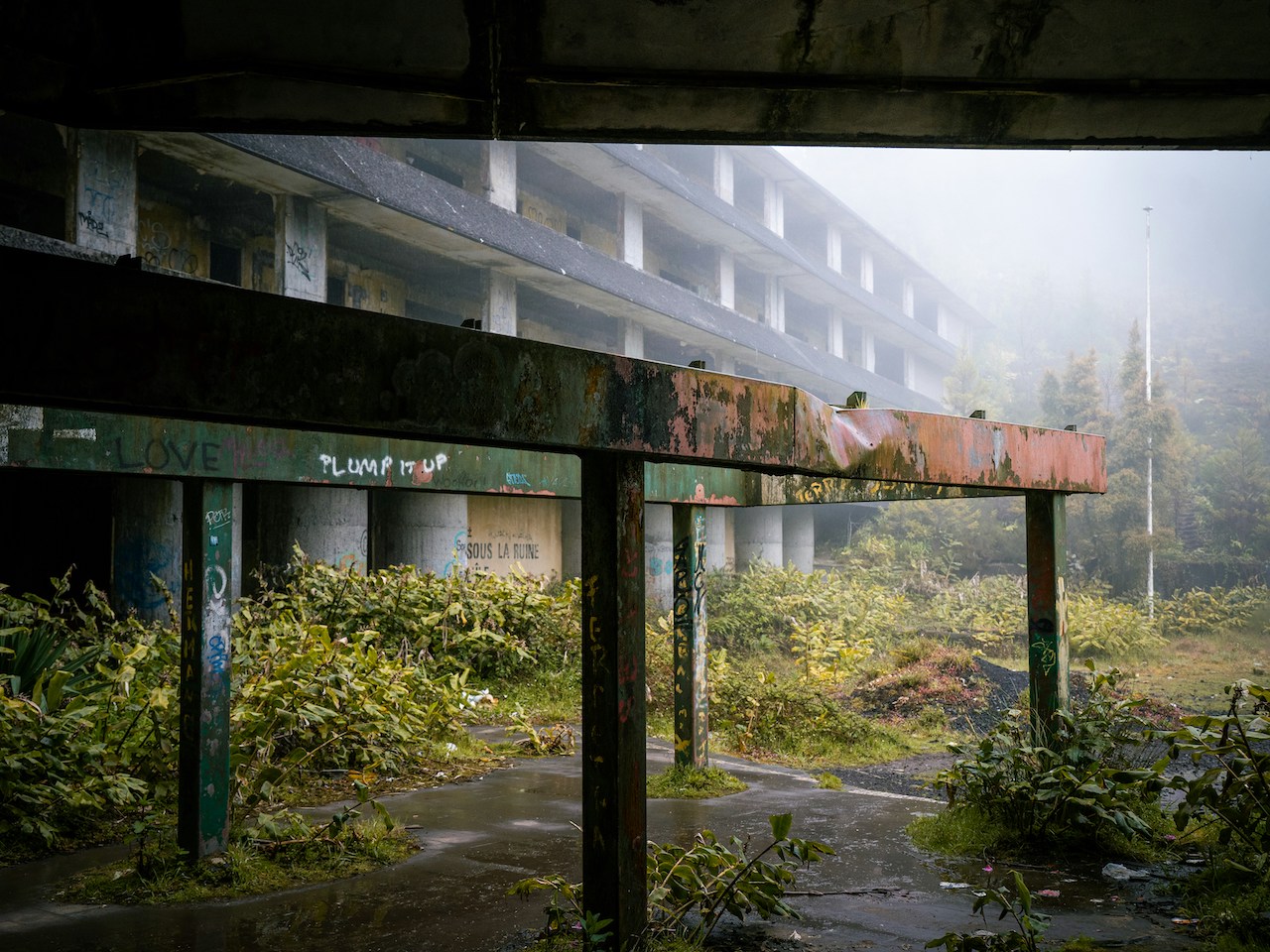 5 astroloških znamenj, ki bi preživela konec sveta