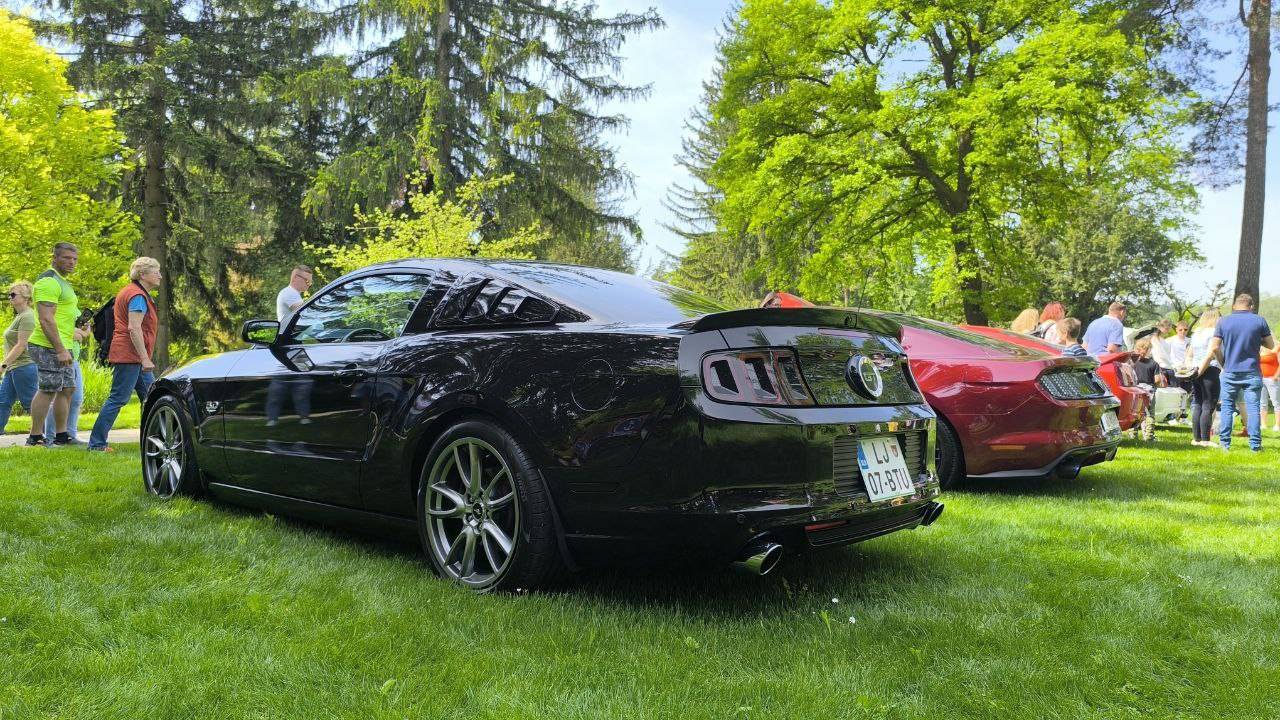 FOTO: Zvok motorjev in vonj cvetja: v Mozirskem gaju danes kraljeval Mustang