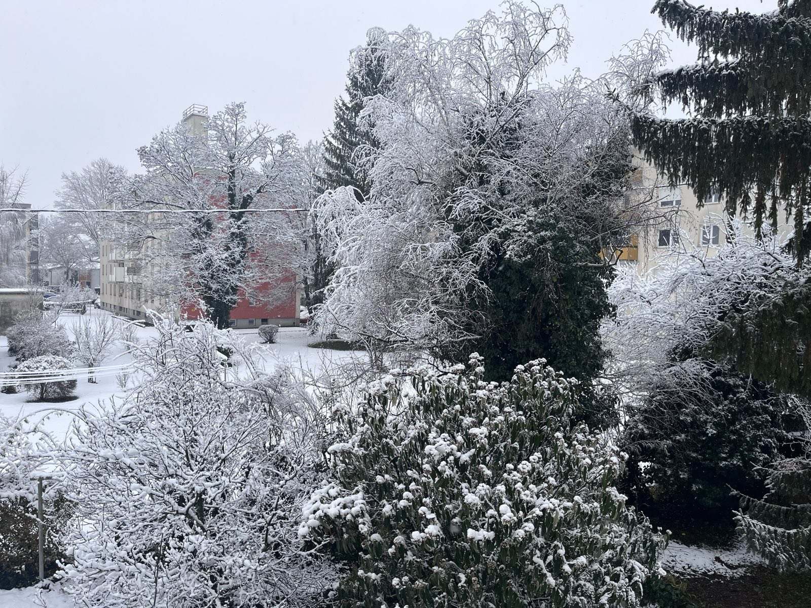 Bel božič: Po 18. letih smo dočakali pravo zimsko pravljico (FOTO)