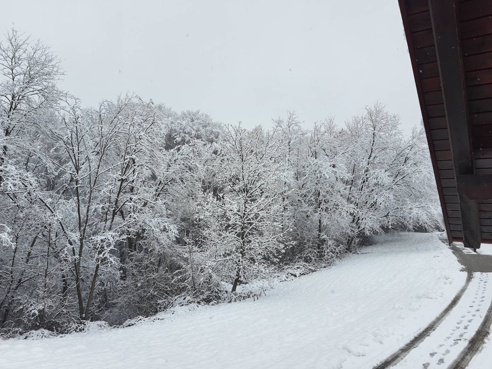 Vrnitev v preteklost: Nas na Balkanu čaka zima, kakršne že desetletja nismo videli?