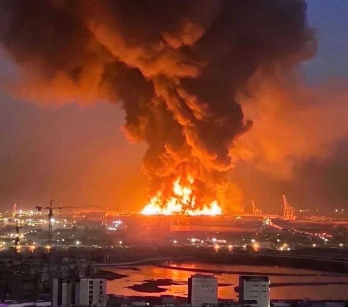 Se je tretja svetovna vojna že začela? Priznani zgodovinar meni...